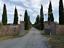 Immagine 9