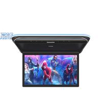 SCHERMO FULL HD PER TETTO DA 19,5"