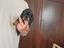 Immagine 2