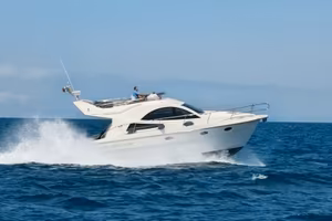 Rodman 38fly 