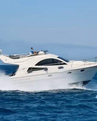 Rodman 38fly 