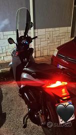 Sh 300 2020 limited edition