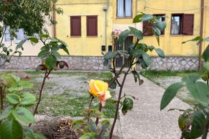 Delizioso appartamento nel cuore della Barbagia