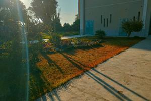 Appartamento a Macchitella