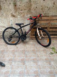 bici mtb