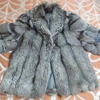  Volpe Argentata originale da atelier