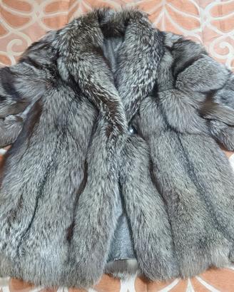  Volpe Argentata originale da atelier