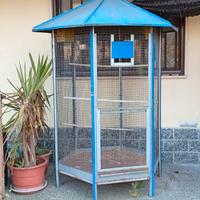 gabbia/voliera per pappagalli/cocorite