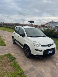 Fiat panda Hybrid