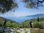 Immagine 9