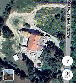 Attività commerciale