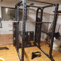 home gym lacertosus palestra 