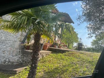 Casa vacanze immersa nel verde