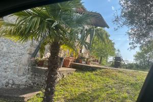 Casa vacanze immersa nel verde