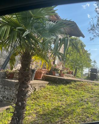 Casa vacanze immersa nel verde