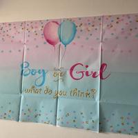 Banner gender reveal party