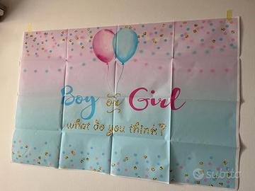 Banner gender reveal party