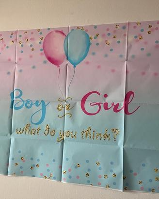 Banner gender reveal party