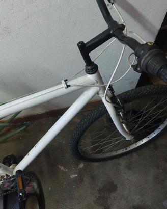Mtb 26