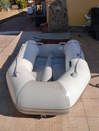 Teder arimar 240 +motore 6 cv