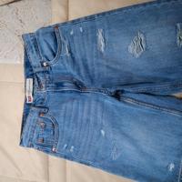 bermuda Levis  14 anni