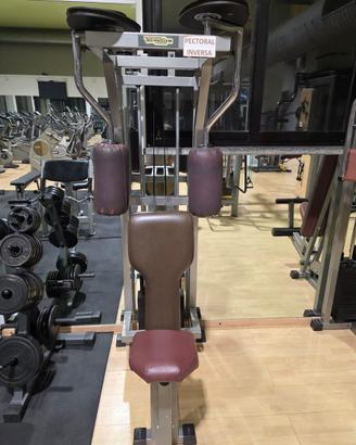 Pectoral inversa professionale