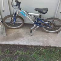 bicicletta 