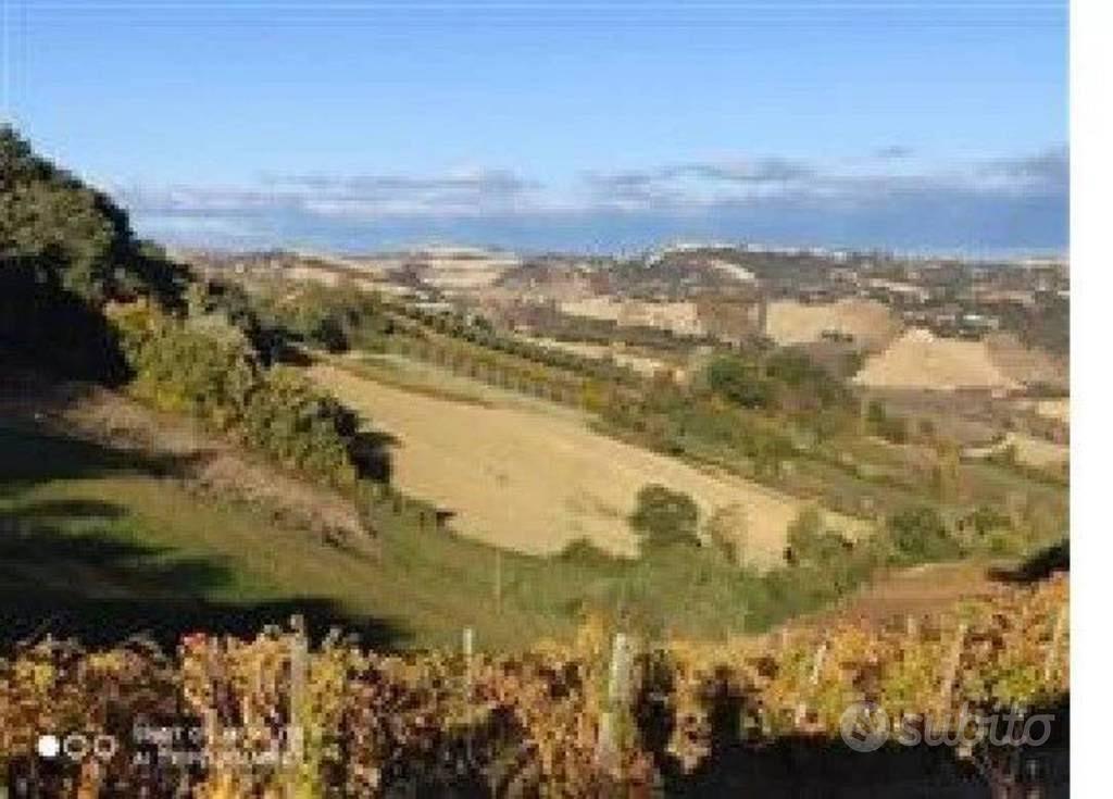 Immobile in asta di 31620 m² a Ripatransone - Vista 4