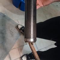 silenziatore gianelli carbonio am6