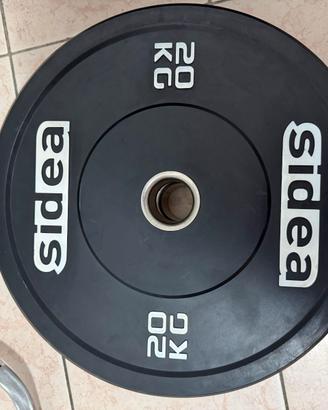 DISCHI BUMPERS 20 KG