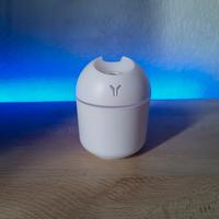 Umidificatore a LED Multicolore