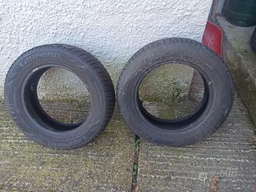 Gomme da neve
