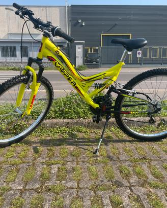 Mountain bike Viper