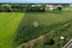 TER. AGRICOLO A LEINÌ