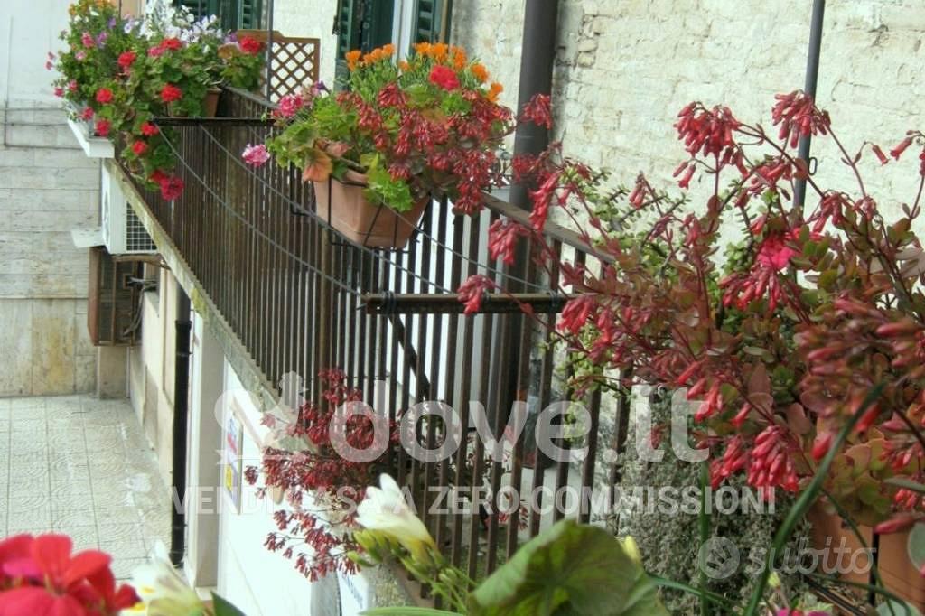 Appartamento – Orta Nova, Foggia - Vista 4