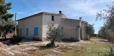 Casale doppio con Uliveto