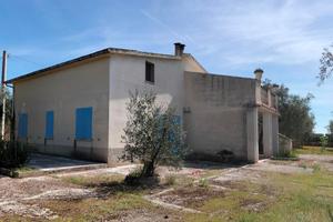 Casale doppio con Uliveto