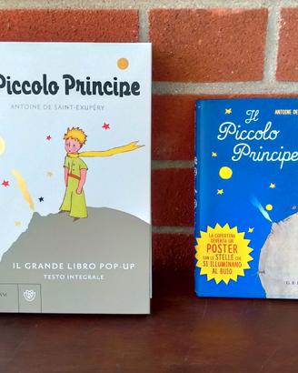 2 Il Piccolo Principe il grande libro pop up NUOVI