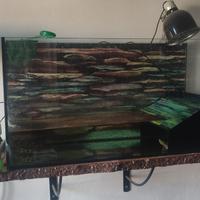 Tartarugario acquario tartarughe