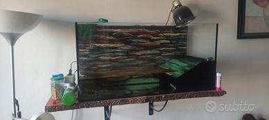 Tartarugario acquario tartarughe