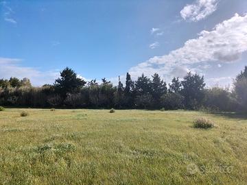 Terreno Agricolo a Nuraxinieddu - Oristano (OR)
