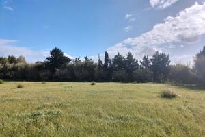 Terreno Agricolo a Nuraxinieddu - Oristano (OR)