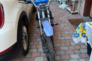 Pit bike 125 12” automatica