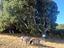 Immagine 27