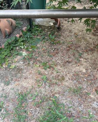 Rollbar per Nissan D40