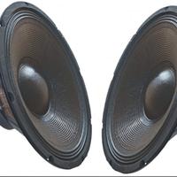woofer 30 cm 8 ohm 600watt 2pezzi