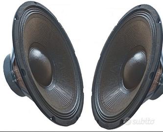 woofer 30 cm 8 ohm 600watt 2pezzi