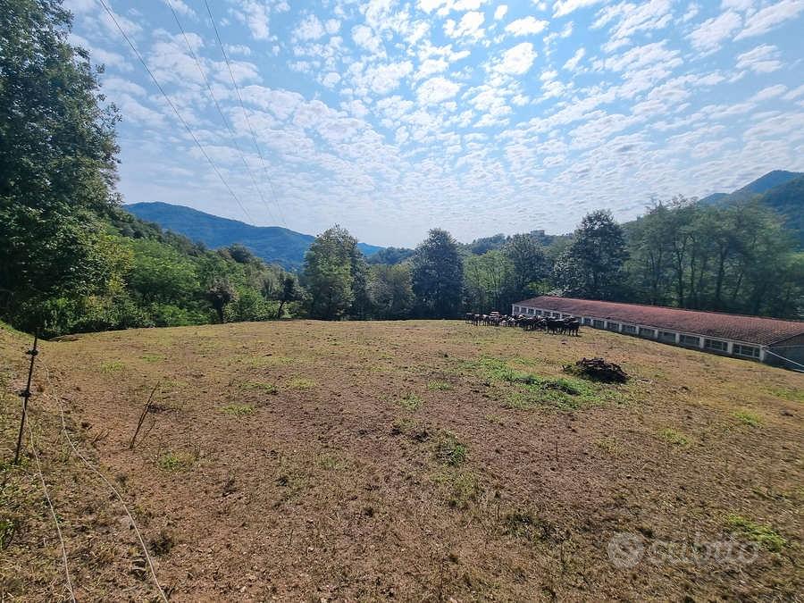 Ferrada 1 km - Stalla con ampio terreno carrabile - Vista 3