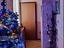 Immagine 12