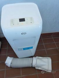 pinguino condizionatore argo